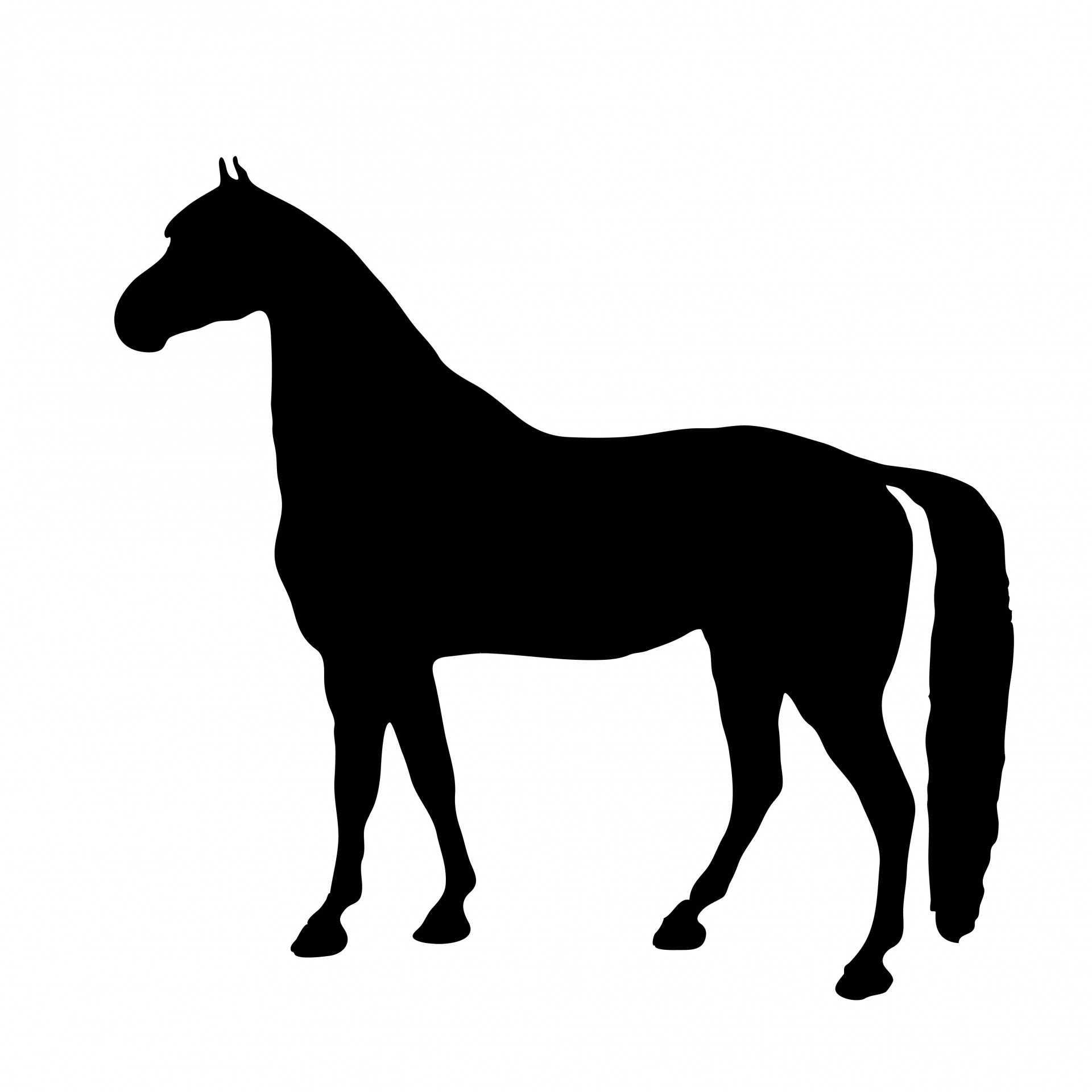 Horse Silhouette Clipart Free Stock Photo Hd Public Domain Pictures
