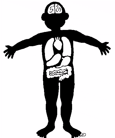 Human Body Boy Clip Art Galle - Human Body Clipart
