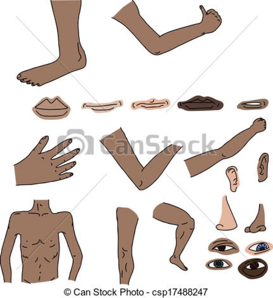 human body parts clipart human body parts clipart body parts illustrations  and clip art 14499 body parts royalty 431 X 470