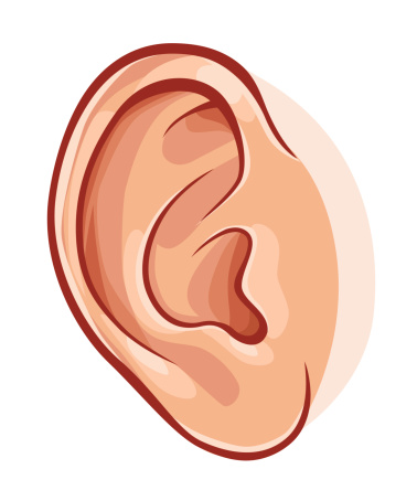 Human ear clipart - HDClipart - Ears Clipart