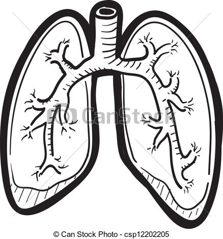 ... Human lung sketch - Doodle style human lung illustration in.