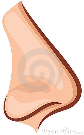 nose clipart