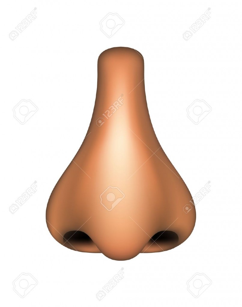 Human Nose Stock Illustration - Nose Clip Art