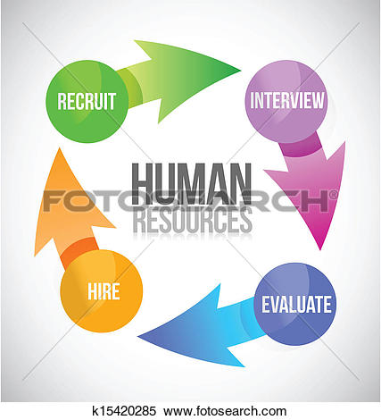 human resources color cycle illustration