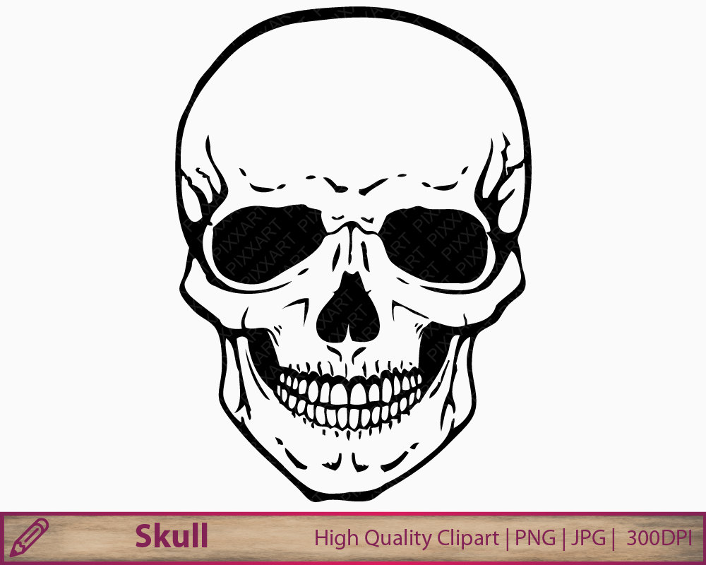 Human skull clip art