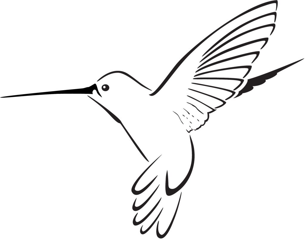 hummingbird clipart - Hummingbird Pictures Clip Art