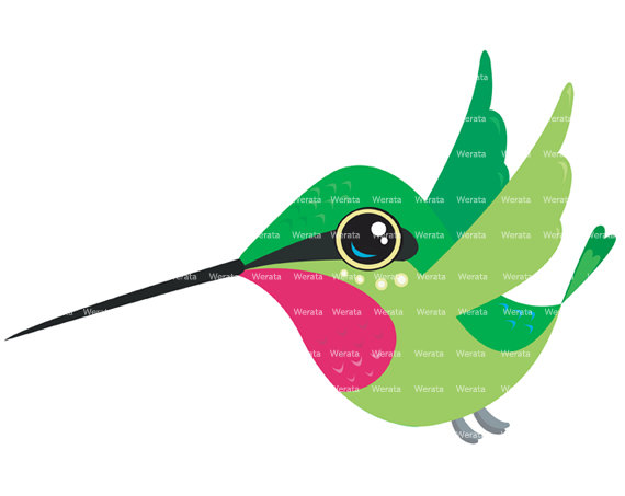 hummingbird clipart - Hummingbird Pictures Clip Art
