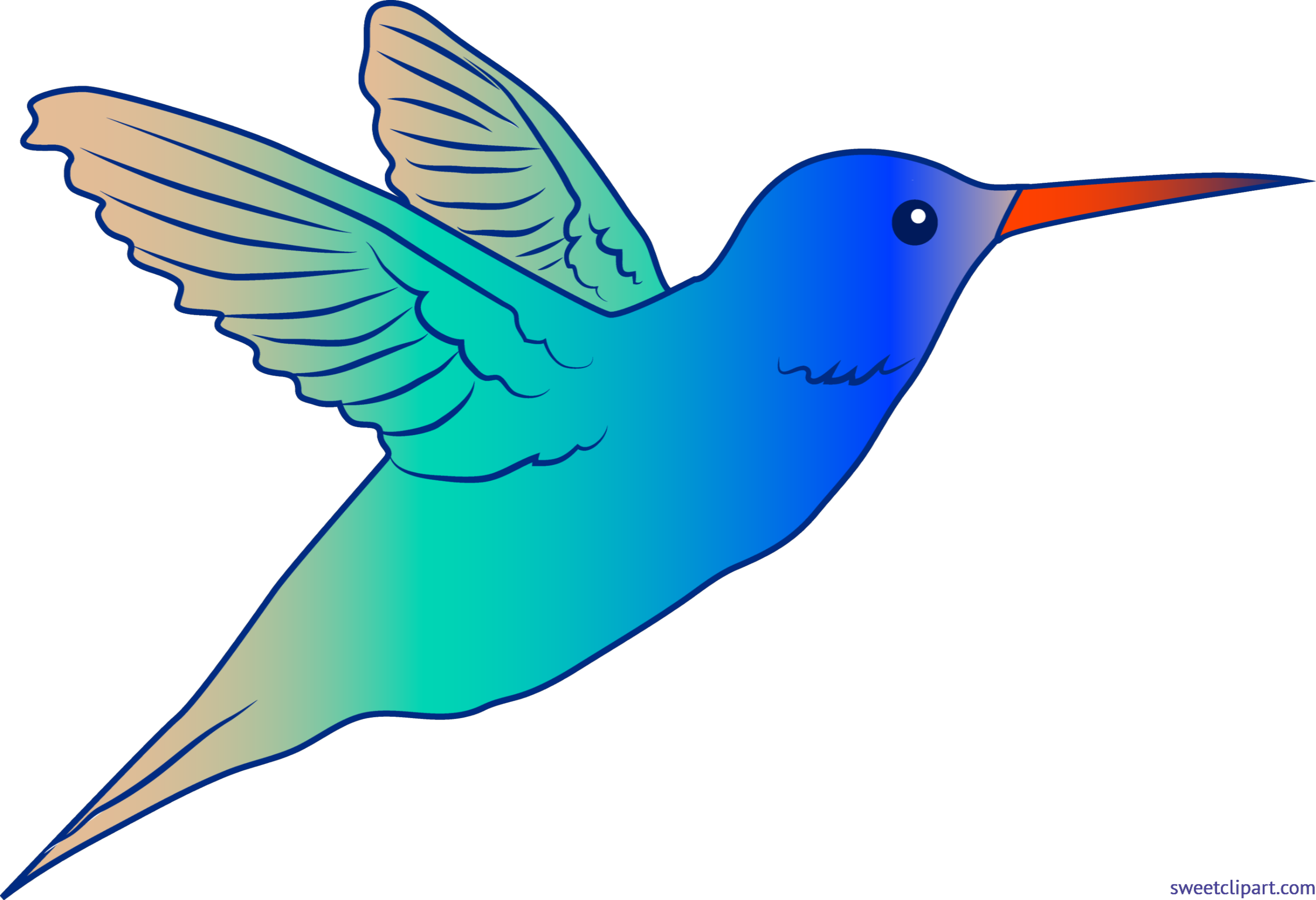 Hummingbird Clip Art - Hummingbird Clipart
