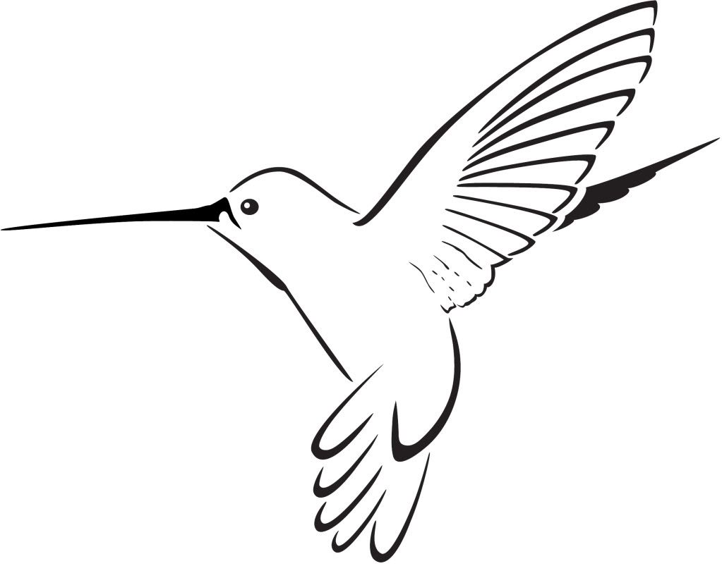 Hummingbird Clipart | Clipart - Hummingbird Clipart