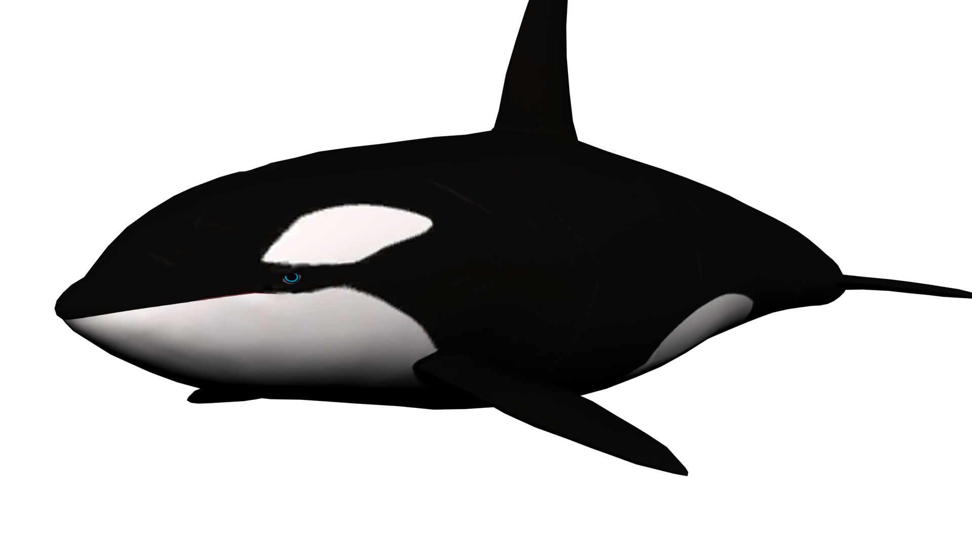 Humpback Whale Clipart - Orca Clip Art