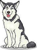 Husky u0026middot; husky or malamute dog cartoon illustration