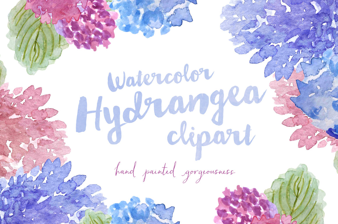 Hydrangea Watercolor Hand Painted Clipart Clip Art - Personal and Commercial Use - hydrangeas garden leaf leaves blue purple pink green
