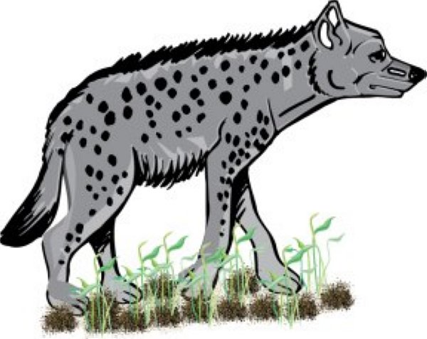 hyena cartoon style. Size: 70