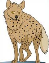 Hyena - Hyena Clipart