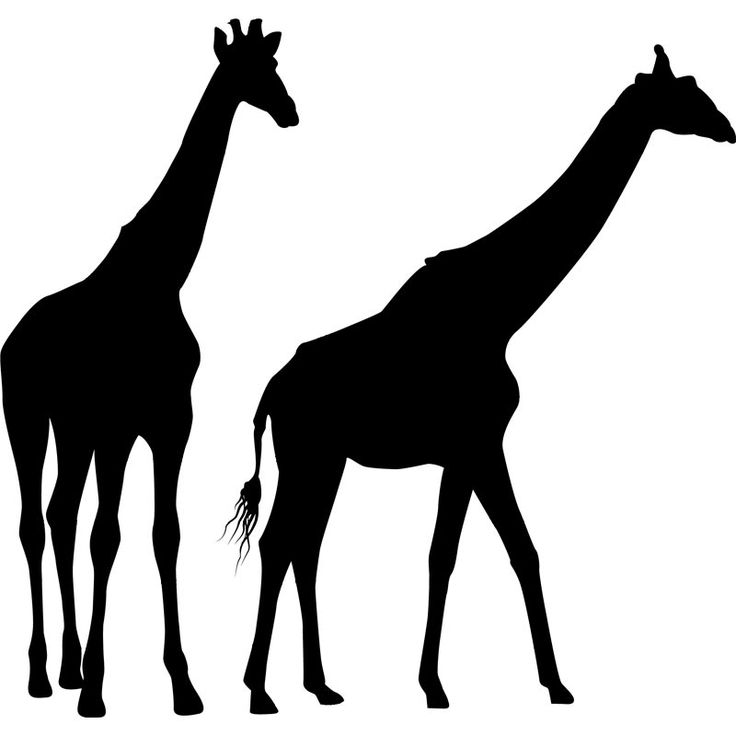 Giraffe Silhouette Clipart .