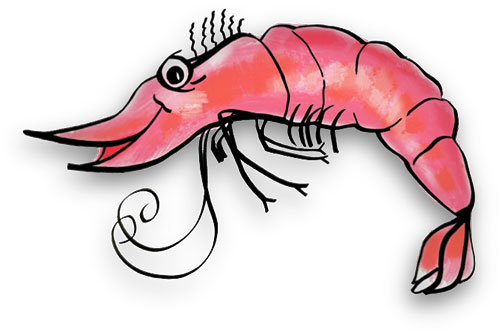 If you use our shrimp clip ar - Shrimp Clip Art