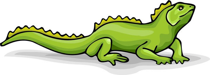 ... Cartoon Iguana Lizard - A