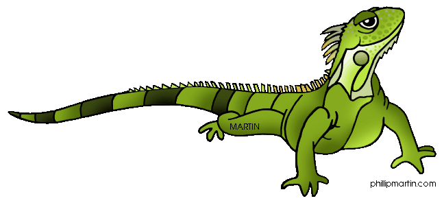 Outline Iguana