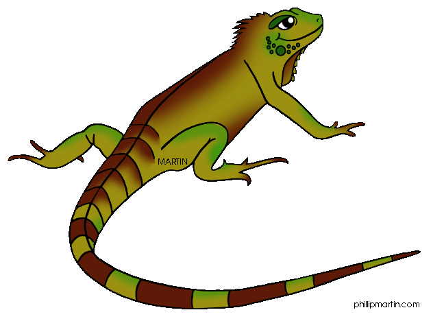 Iguana Clipart - Iguana Clip Art
