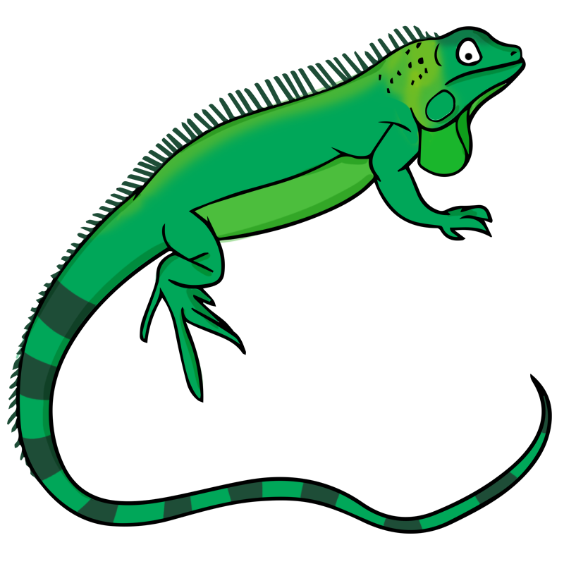 Iguana Clipart