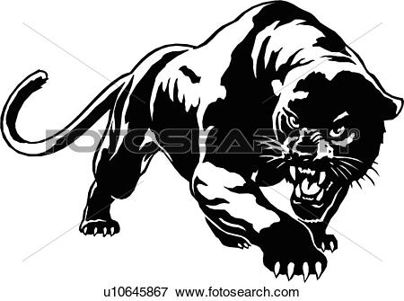 illustration, lineart, animal, panther, cougar, puma, mountain