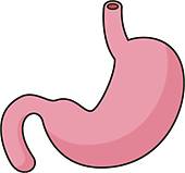 Cartoon Character of stomach 