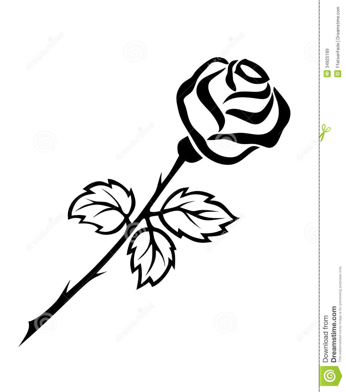 Illustration Of Beautiful Bla - Black And White Rose Clip Art