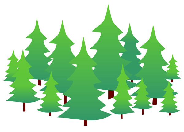 Illustration Of Evergreen Trees On A Plain White Background