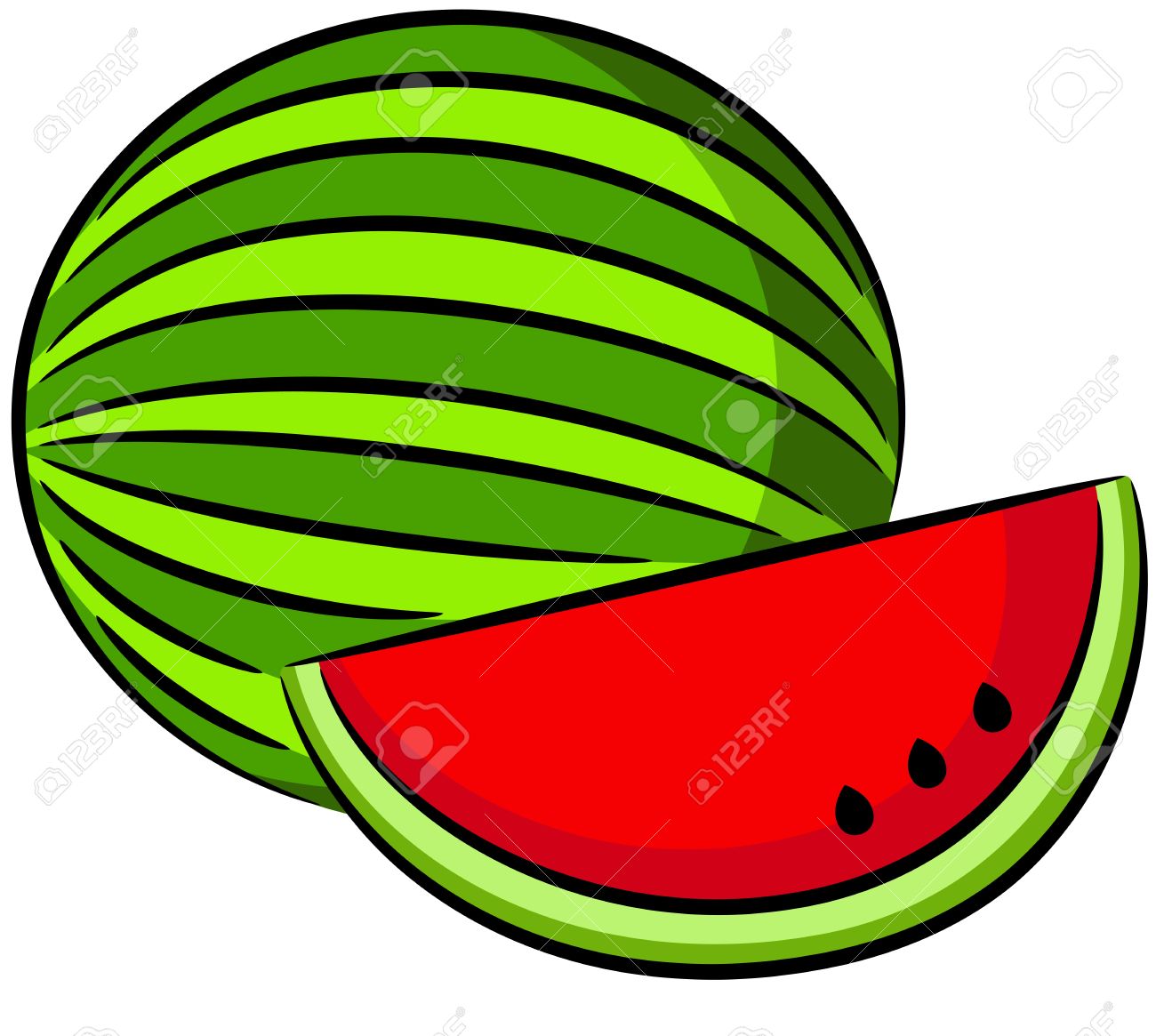 illustration of water melon .