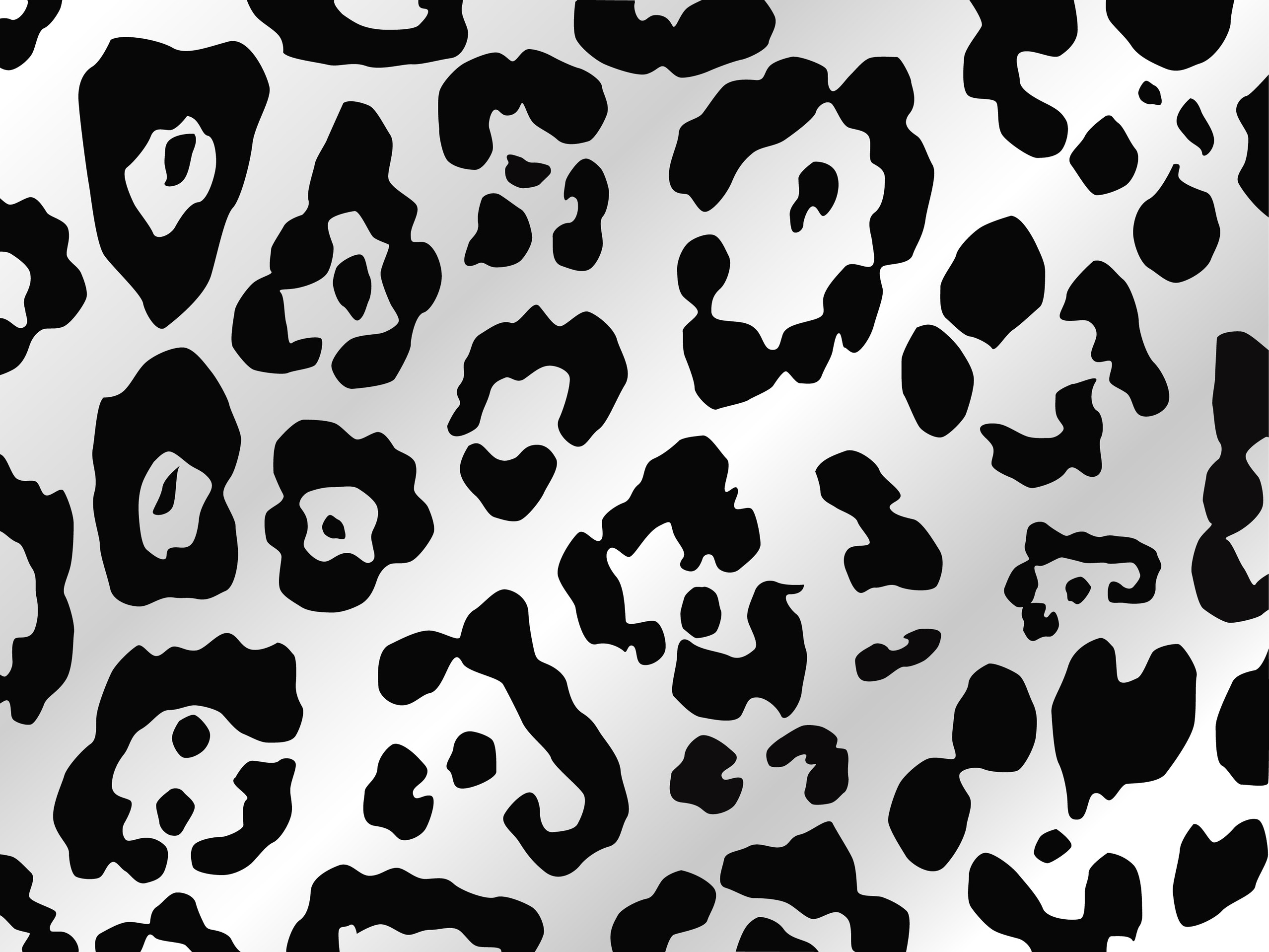 Image Black And White Leopard Print Wallpaper Jpg House Of Anubis
