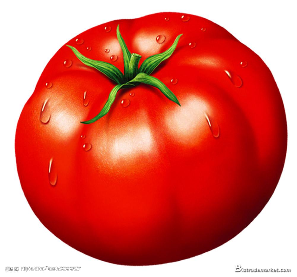 Tomato Clip Art at Clipart .