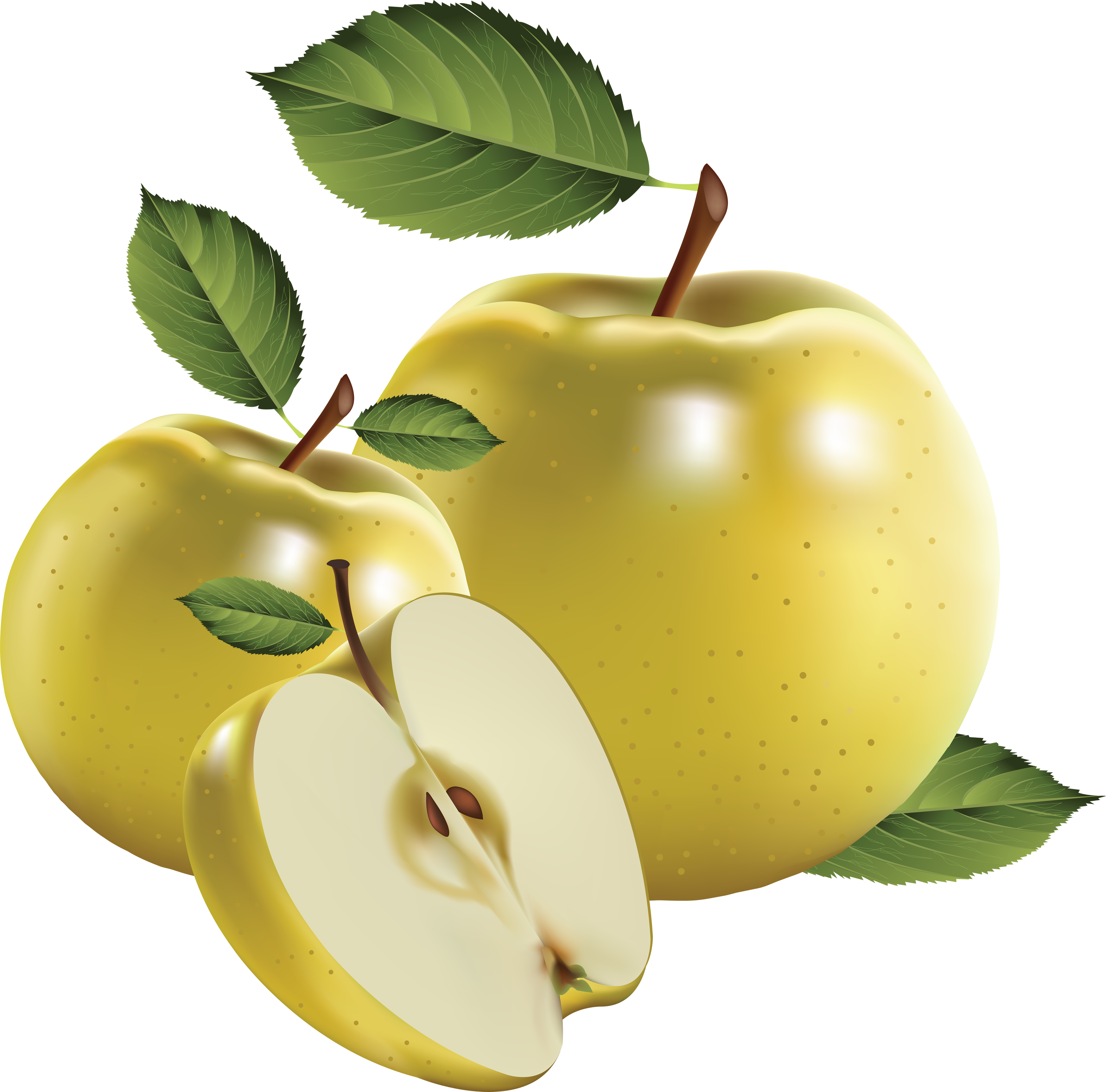 Image Clipart Transparent Png Apple Png Apple Image Clipart