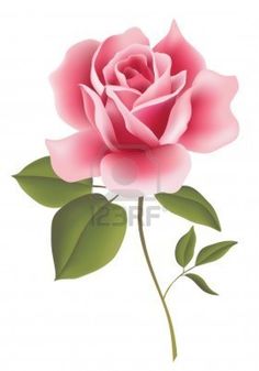 Pink Tea Rose Clipart Inspira