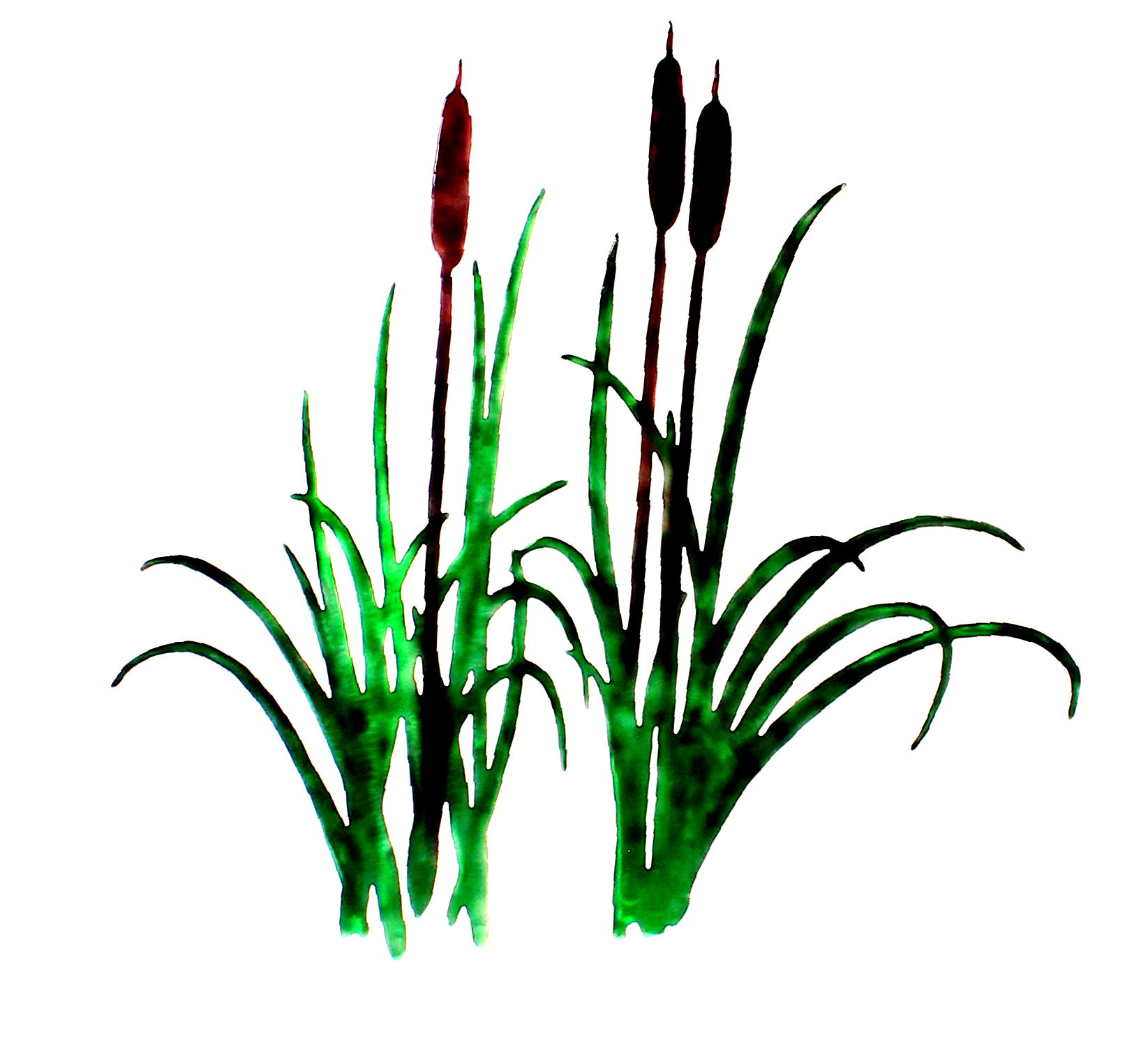... Image of Cattails Clipart - Cattails Clipart
