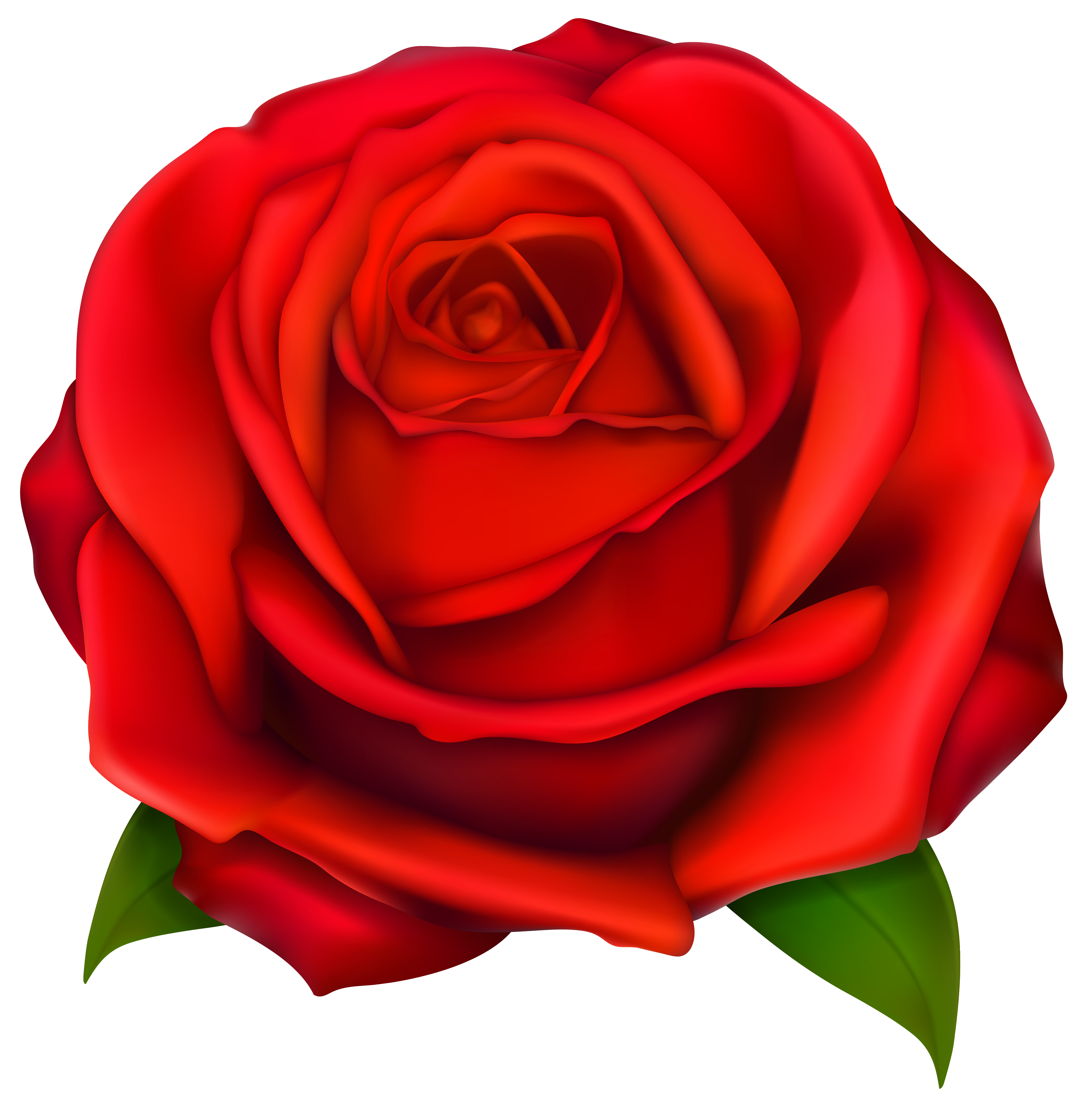 Flower Clipart - Red Rose .