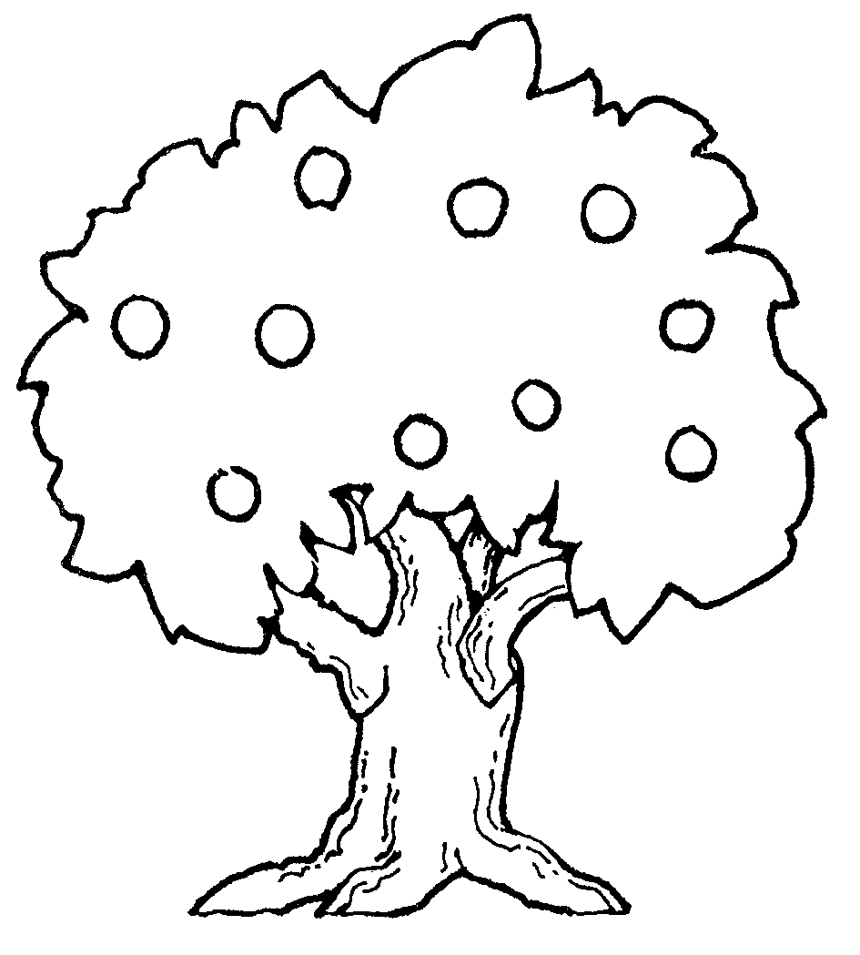 Images For Tree Images Black  - Tree Clip Art Black And White