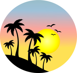 palm tree with sunset view