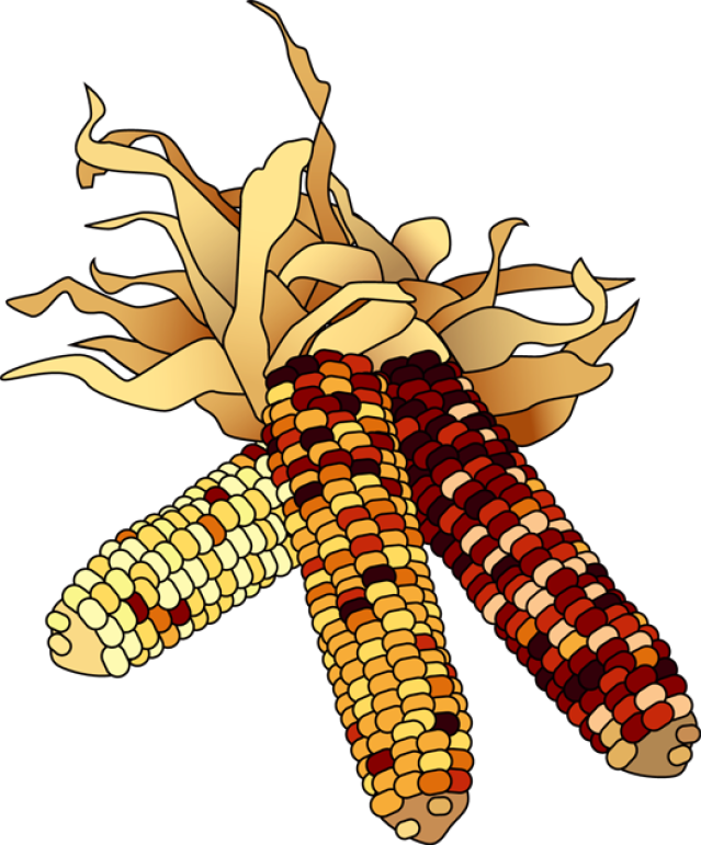 Clip Art: Ears of Indian Corn