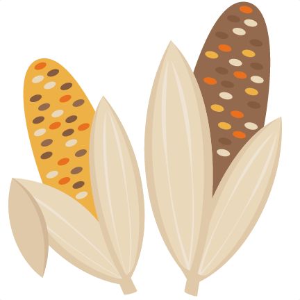 Indian corn clipart