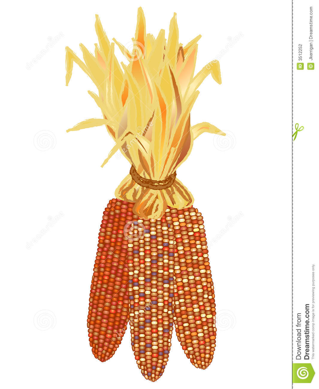 Indian Corn Stock Photography - Indian Corn Clipart