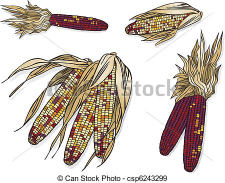 Indian Corn - Vector art in Illustrator 8. Kernels are.