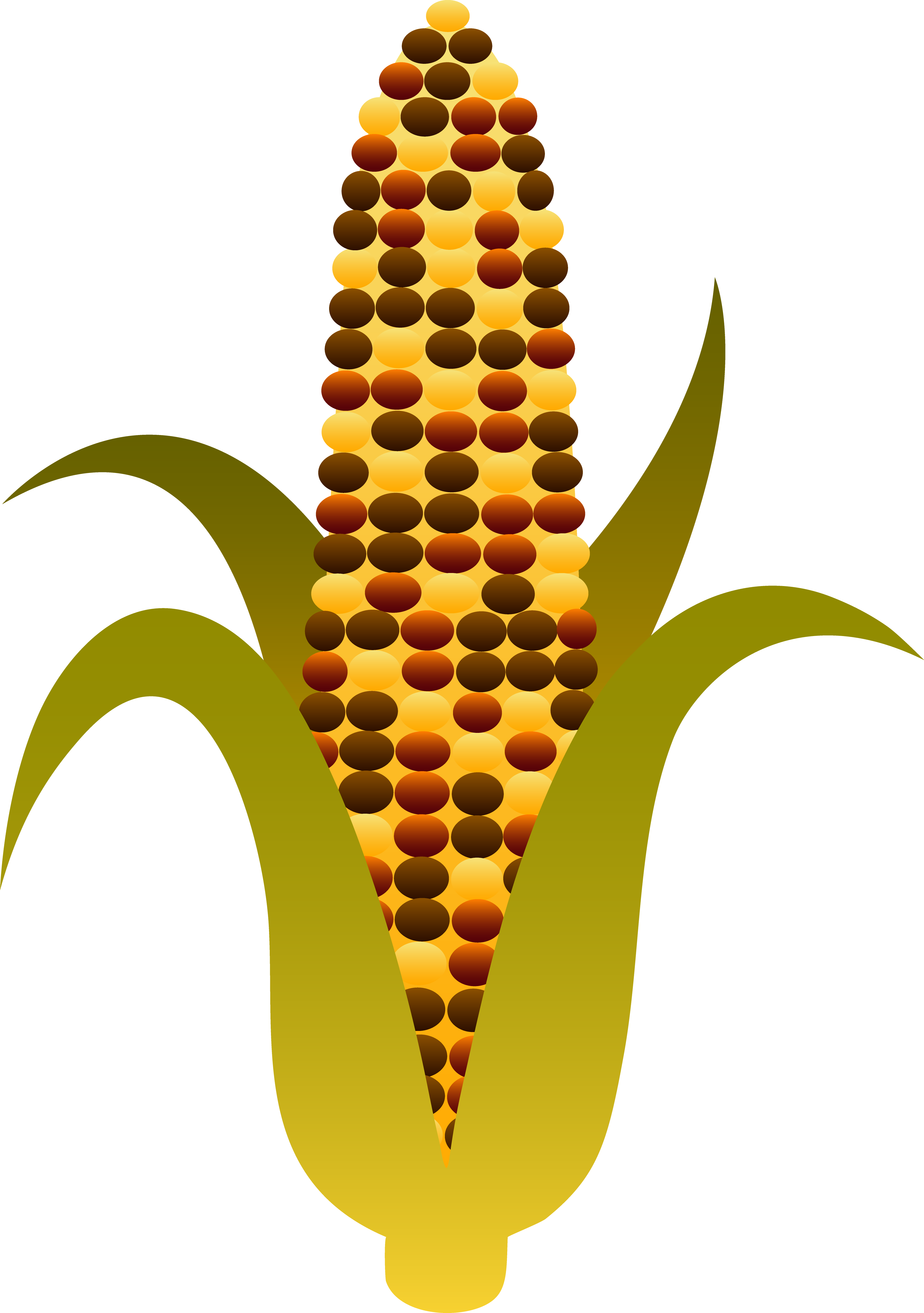 Corn on the cob clipart - Cli