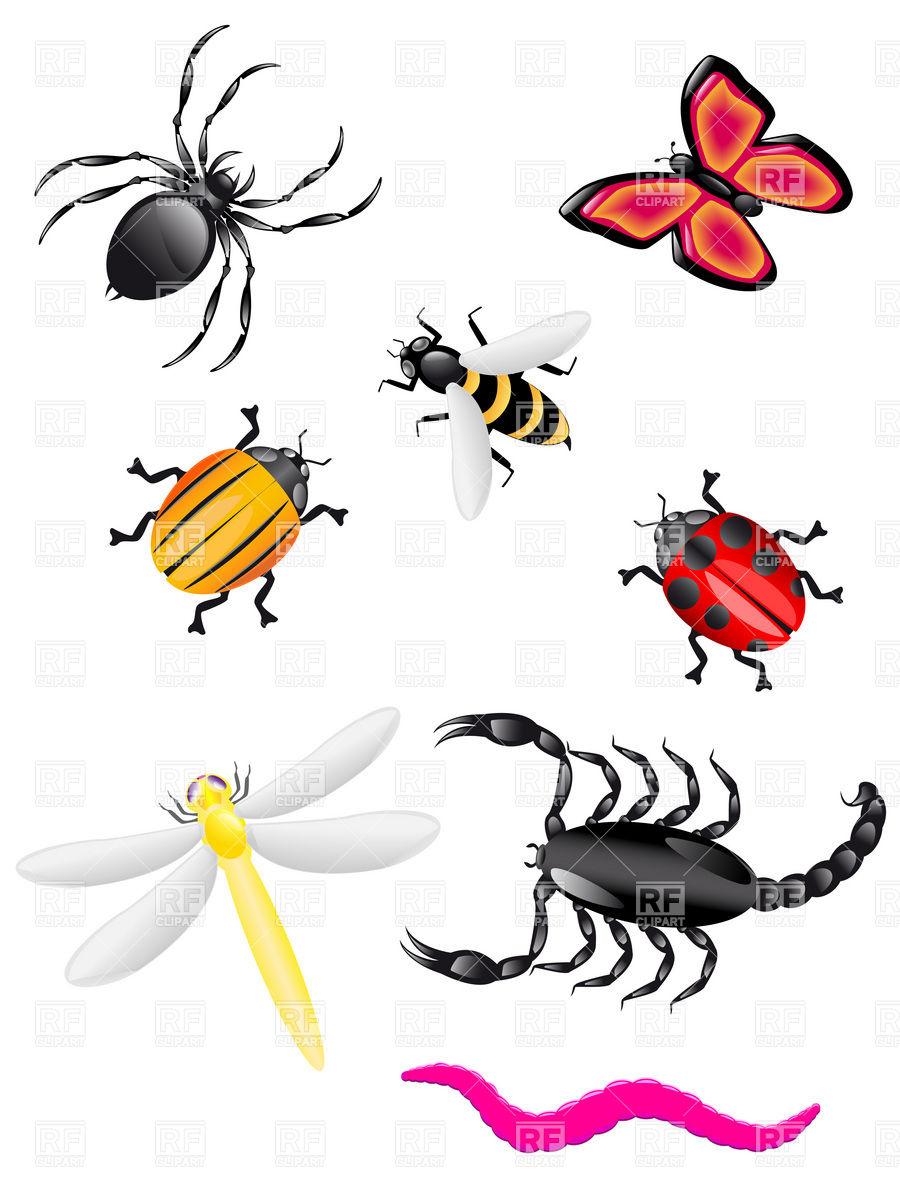 Insect Clipart Beetles And In - Insects Clipart