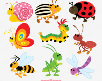 insect clipart - Clipart Insects