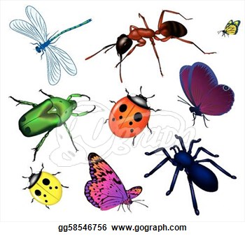 Insects clip art - ClipartFes - Insects Clipart
