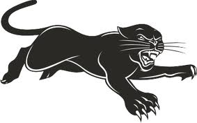 Interesting Information On Bl - Panthers Clip Art