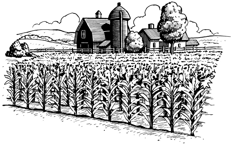 Iowa Farm Clipart #1