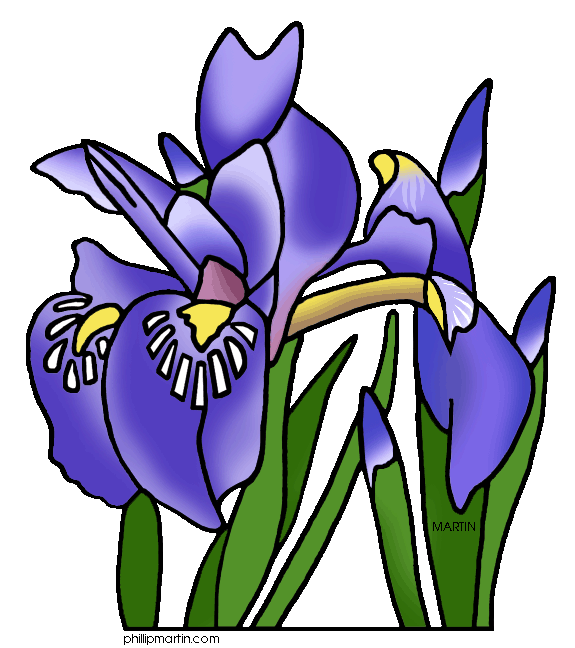 Iris Flower Clipart - Iris Clip Art