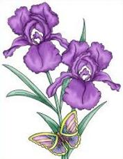 Iris - Iris Clip Art