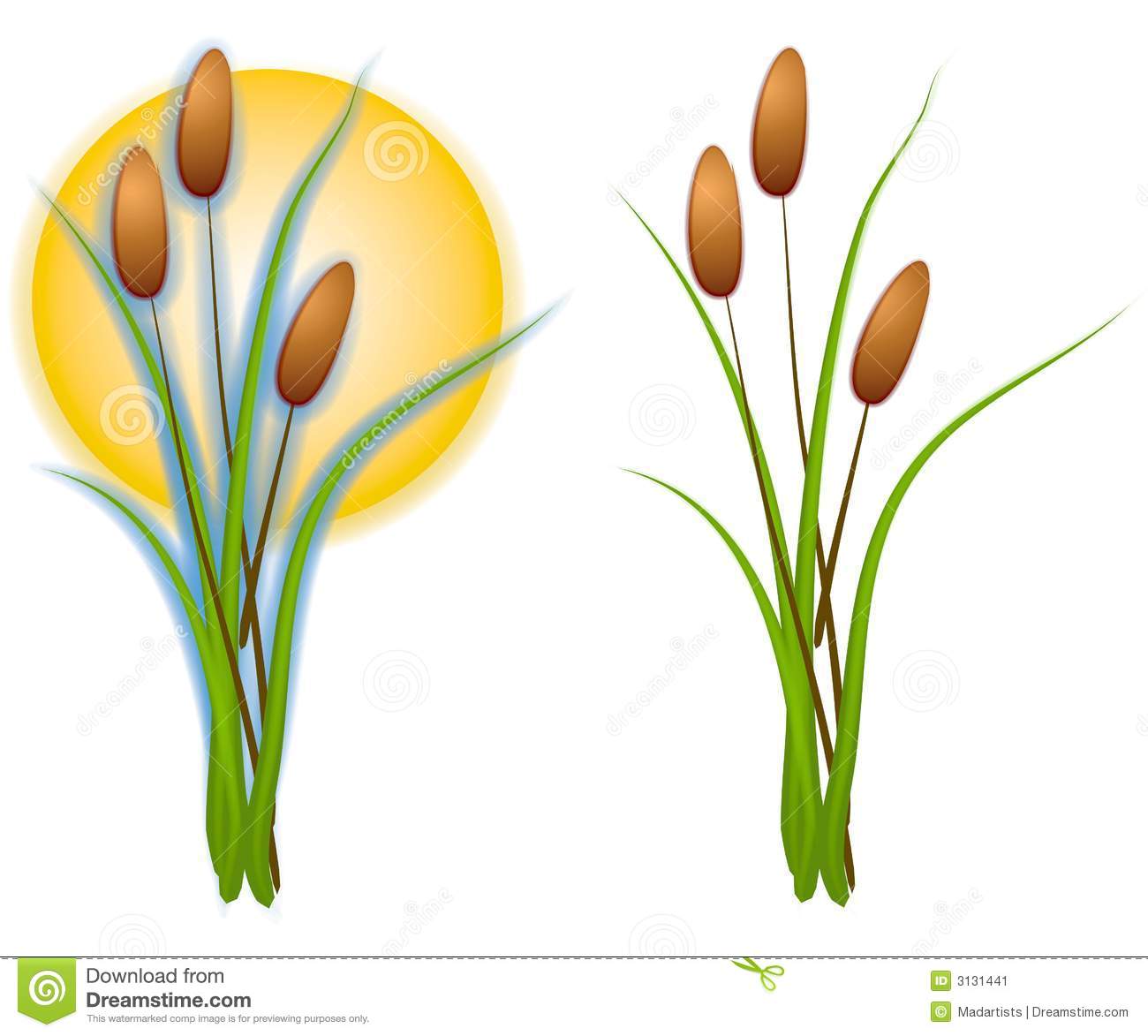 Isolated Cattails Clip Art St - Cattail Clipart